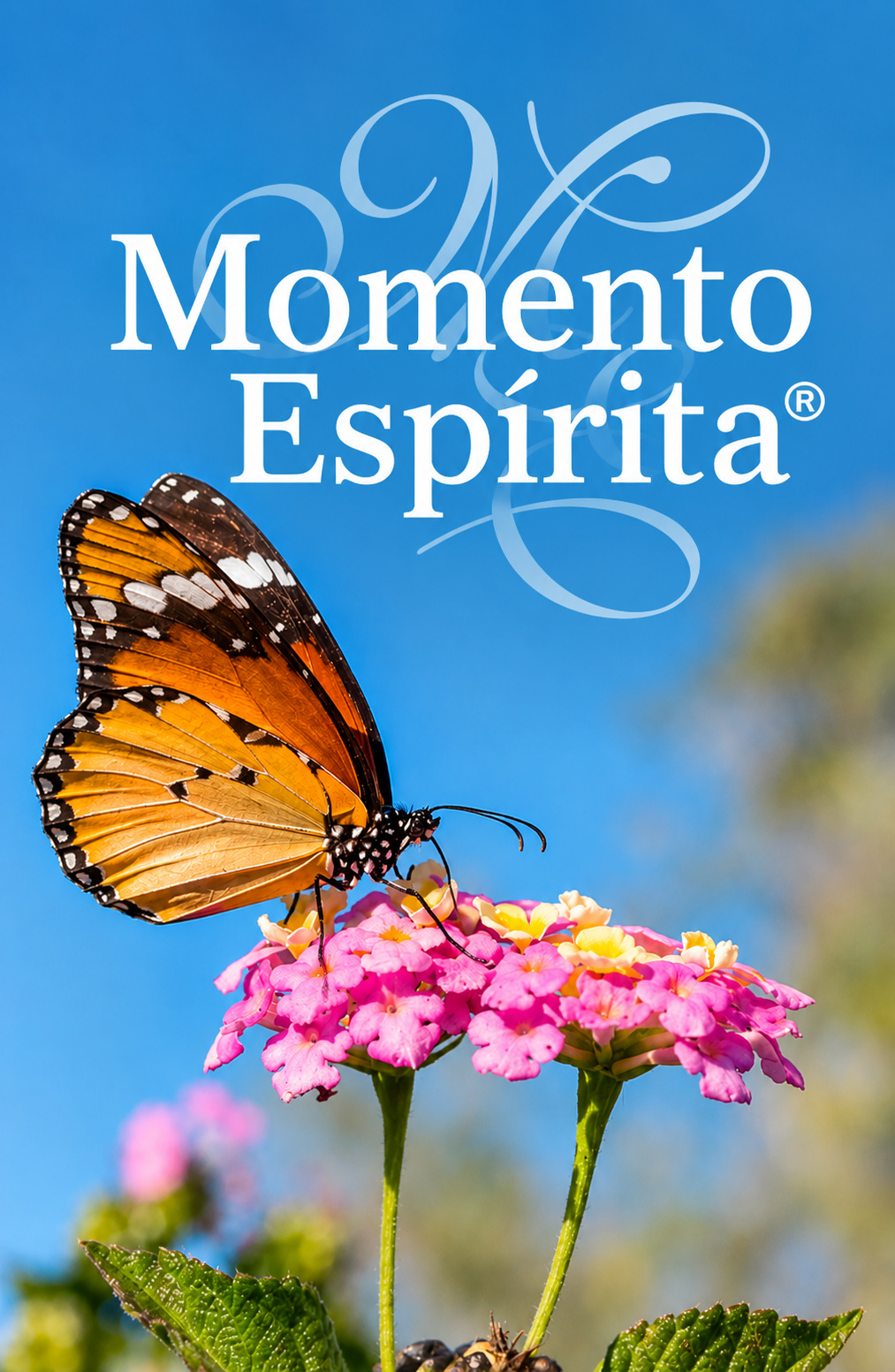 Momento Espírita